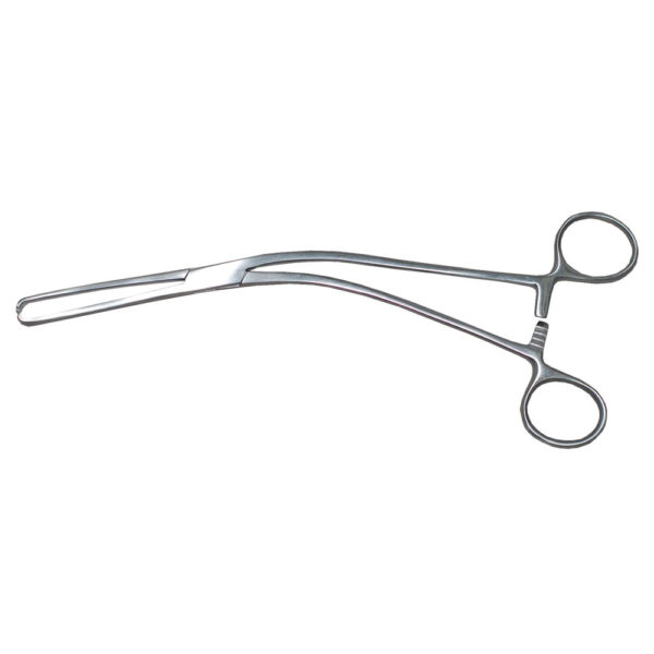 Punch Biopsy Forceps, Single Action Thru-Biting, 1.5 Mm X 3.0 Mm Bite, 7 1/4" (18.0 Cm), 70 Degrees Short Curve